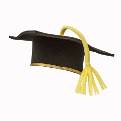 Sombrero hule espuma...